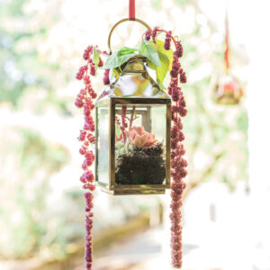 Hanging Lanterns