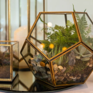 Hexagon Glass Vases
