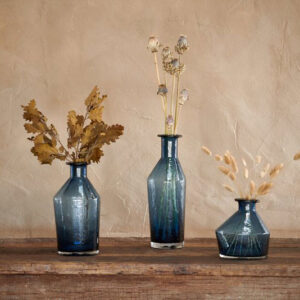 Zaani Glass Vases