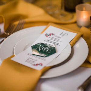Mustard Napkins